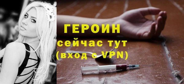 гидра Вязьма