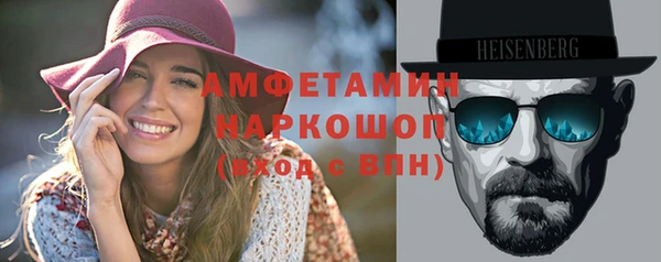 гидра Вязьма