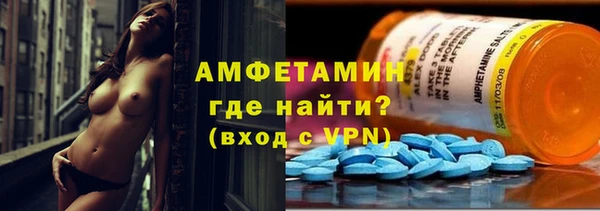 гидра Вязьма