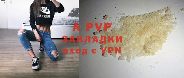 гидра Вязьма