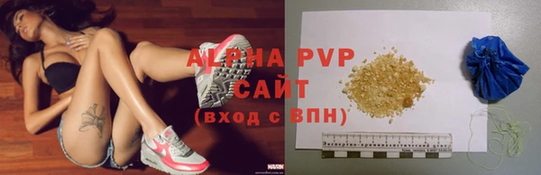 гидра Вязьма