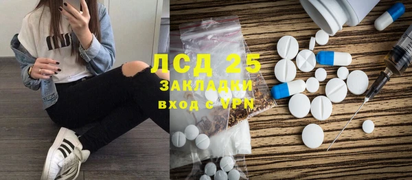 гидра Вязьма
