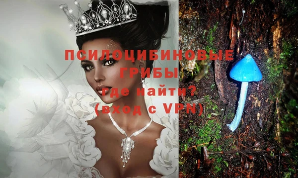 мескалин Вяземский