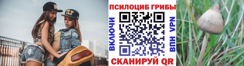 Галлюциногенные грибы Cubensis  Купить закладки  Приозерск 